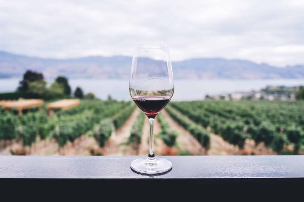 Comment apprendre à déguster et à apprécier le vin ?